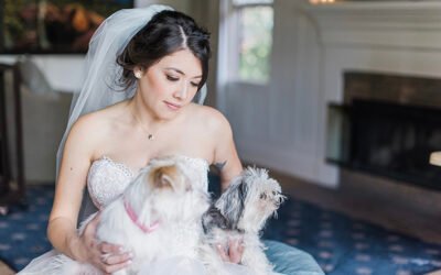 Should You Include Your Dog in Wedding Photos: Pros and Cons