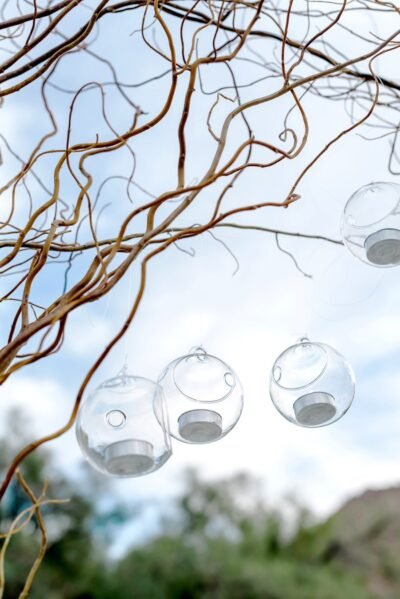 Scottsdale Wedding Photography