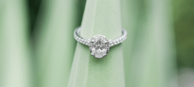 Wedding and family photographers in Arizona Wedding and family photographers in Arizona