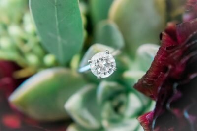 Scottsdale Wedding Photographers Scottsdale Wedding Photographers