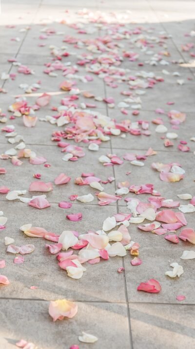 Arizona Wedding Photographers Arizona Wedding Photographers