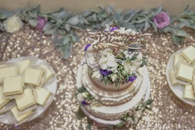 Arizona Wedding Photographers Arizona Wedding Photographers