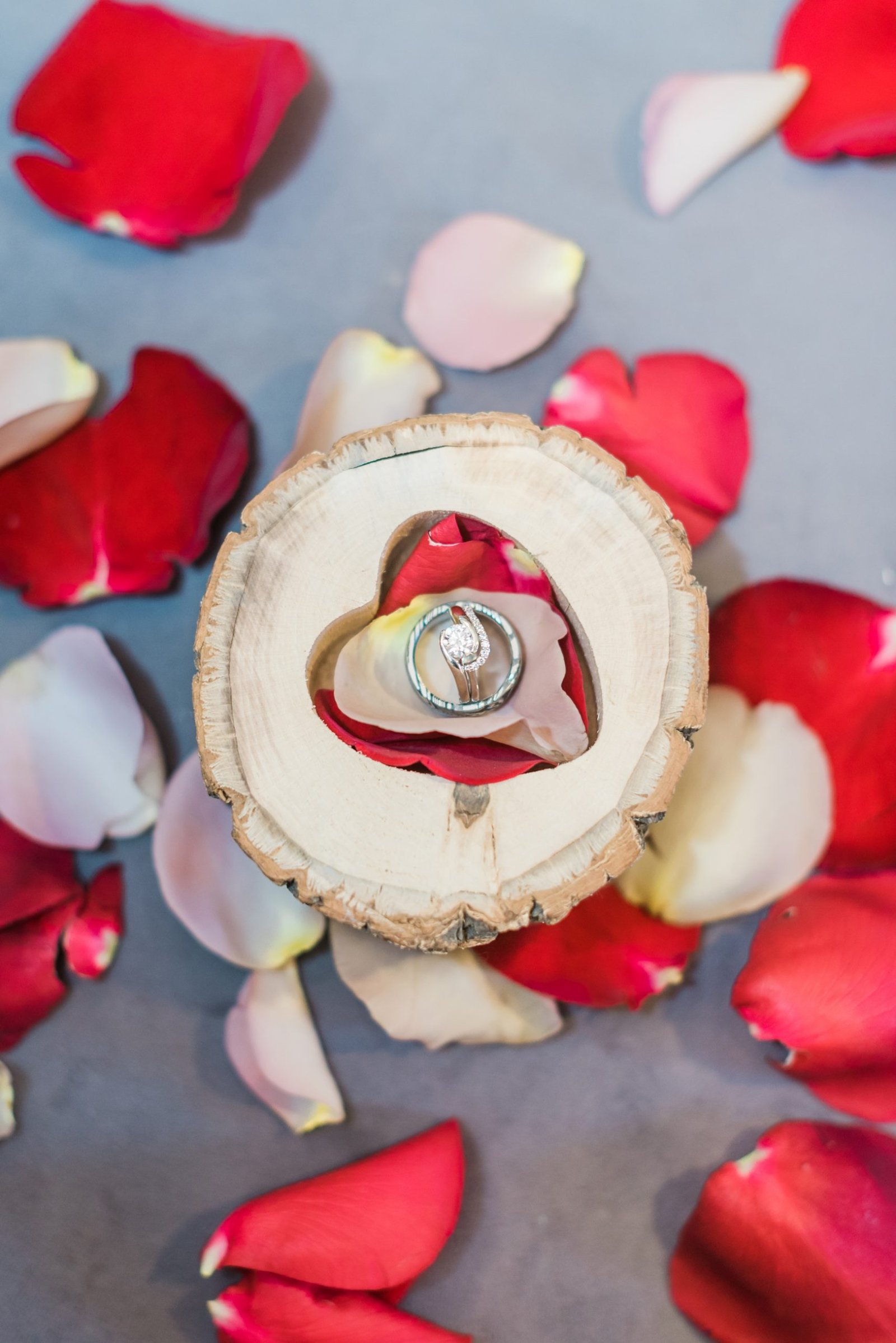 Best Wedding Photographers in Arizona Best Wedding Photographers in Arizona