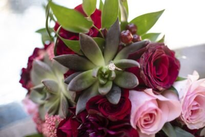 Arizona Wedding Photographers Arizona Wedding Photographers