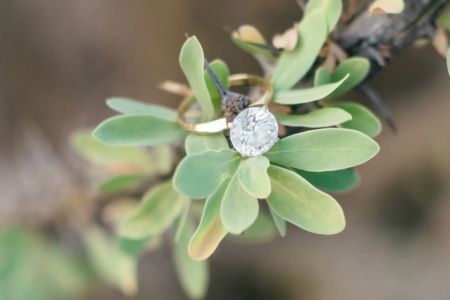 Engagement Photographers in Phoenix Engagement Photographers in Phoenix