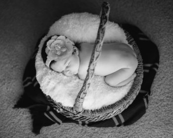 Arizona Newborn Photographers Arizona Newborn Photographers