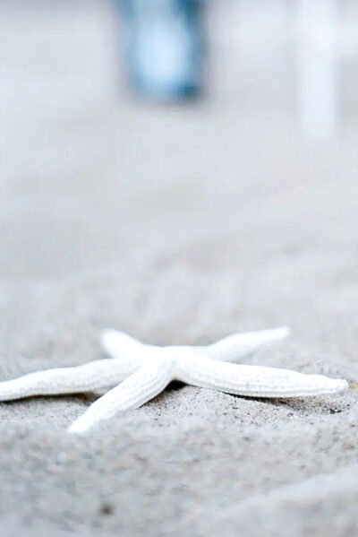 Wedding photography in Southern California